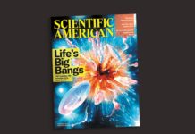 Reader Insights : science, suppléments et perception du temps