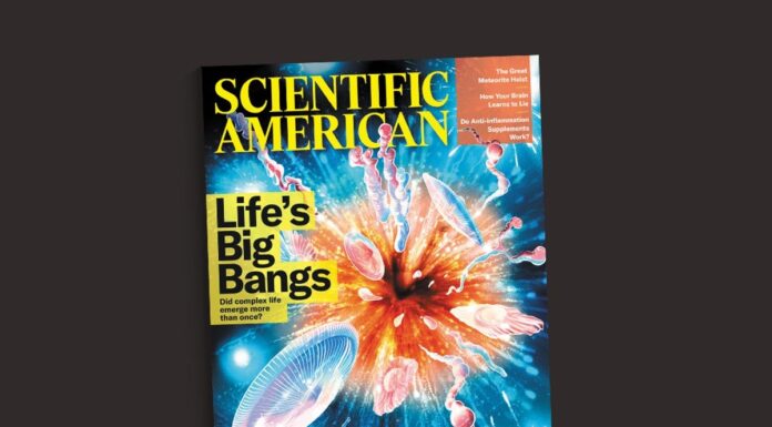 Читацькі Нотатки: Наука, Добавки та Сприйняття Часу