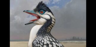 Стародавній рот птаха відкриває глибоке коріння пташиних рис