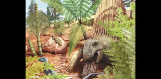 Oudste gefossiliseerde dinosauruskots onthult maaltijd van eeuwenoud roofdier