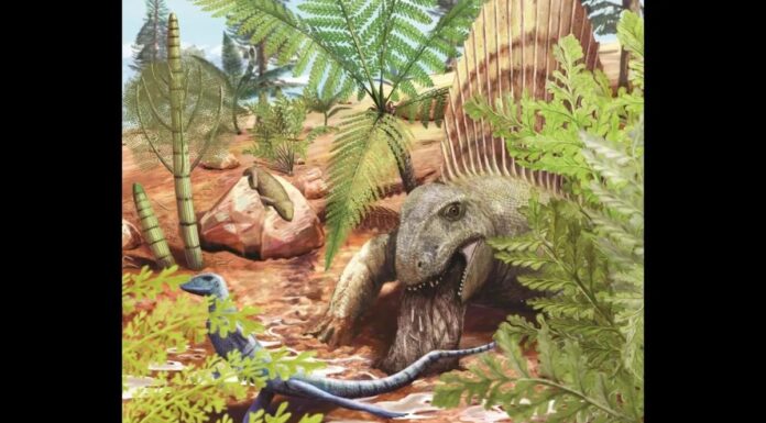 Найстаріша скам’яніла блювота динозавра розкриває їжу стародавнього хижака