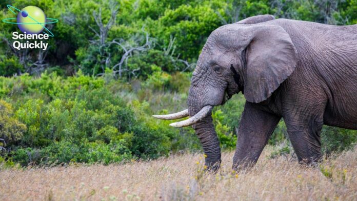 cabfbaa5-1668-484f-93e6-4ea6c4301770