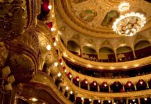 Прихована роль кольору в насолоді від концертів