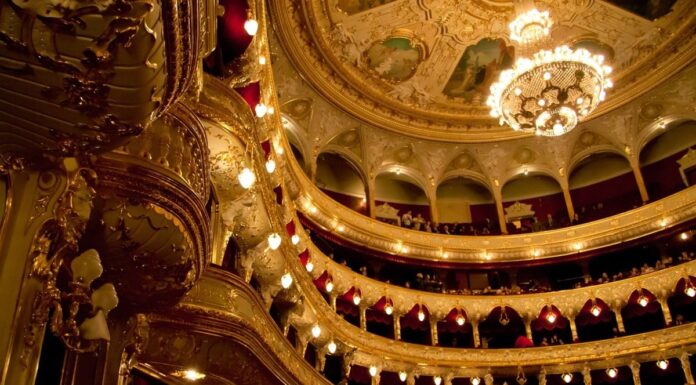 Прихована роль кольору в насолоді від концертів