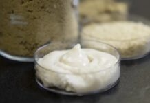 Рисовий Протеїн: Майбутнє Веганського Сиру?