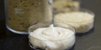 Proteína de arroz: ¿el futuro del queso vegano?