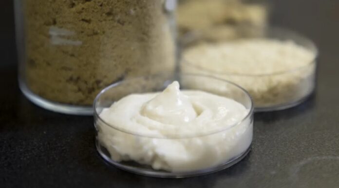 Рисовий Протеїн: Майбутнє Веганського Сиру?