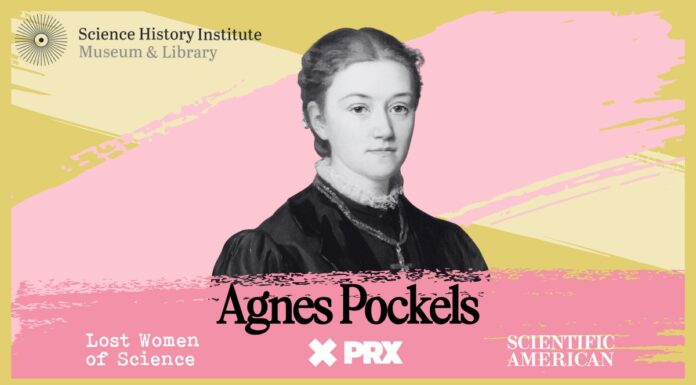 Агнес Покельс: Переосмислення Наукового Успіху в XIX столітті