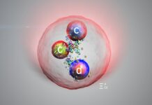 Відкриття нової частинки із «зачарованими» кварками на Великому адронному колайдері