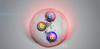 Відкриття нової частинки із «зачарованими» кварками на Великому адронному колайдері