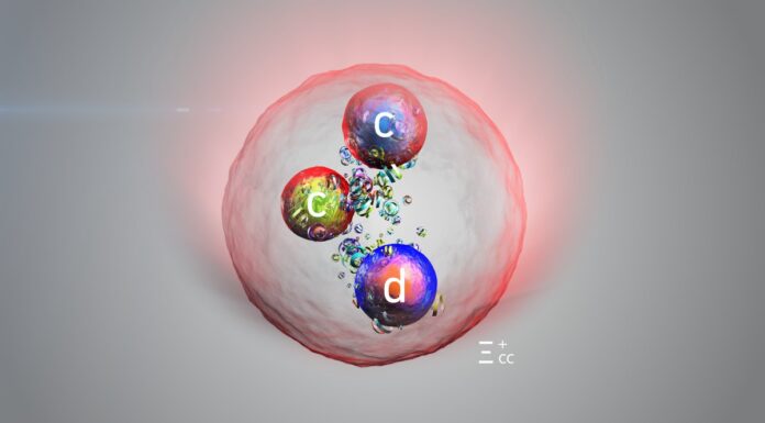 Відкриття нової частинки із «зачарованими» кварками на Великому адронному колайдері