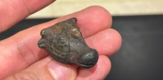 3000-річну бронзову скульптуру бика знайдено в Іспанії