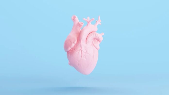 6fd226c5-e681-4b53-a6b7-2e3350565df7