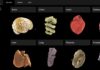 Революційний 3D-атлас людських органів тепер загальнодоступний