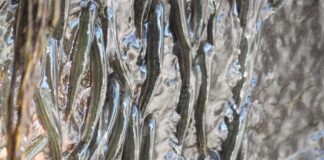 Крихітні риби, що збираються по водоспадам в Епічних 10-годинних сходженнях