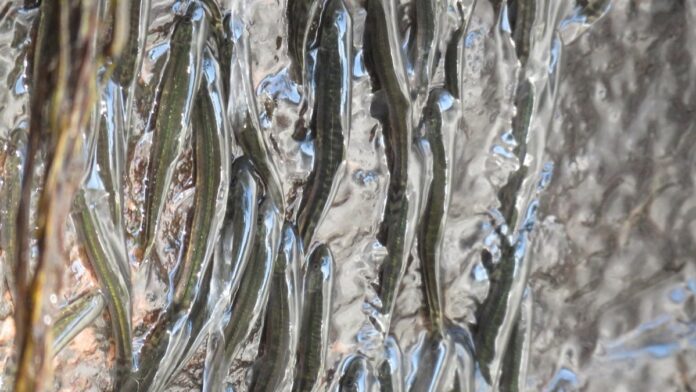 7586b658-c102-4e13-97c0-3306e13021b5