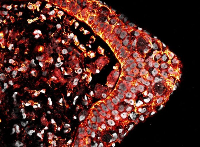 d5ba4956-79c2-458d-8d64-110810f61723