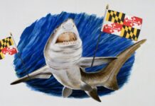 Мегалодон збирається стати акулою штату Меріленд