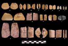 Першими гравцями були жінки Льодовикового періоду на Великих рівнинах