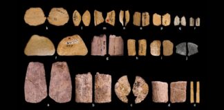 Першими гравцями були жінки Льодовикового періоду на Великих рівнинах