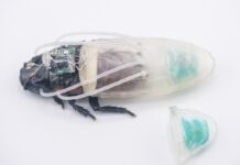 Kecoa Cyborg berenang di bawah air