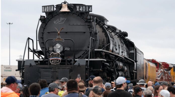 Ловля «Великого хлопчика»: останнє коло перед літньою спекою 🚂