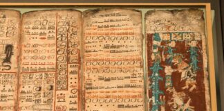 Eerstgenoemde Maya-wiskundige onthuld