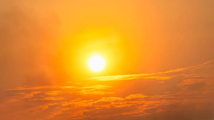 9cf87502-b353-4886-9d3b-0c6f055648c7