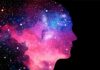 Сознание обитает в тесной чердачной каморке 🧠