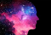 Сознание обитает в тесной чердачной каморке 🧠