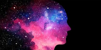 Сознание обитает в тесной чердачной каморке 🧠