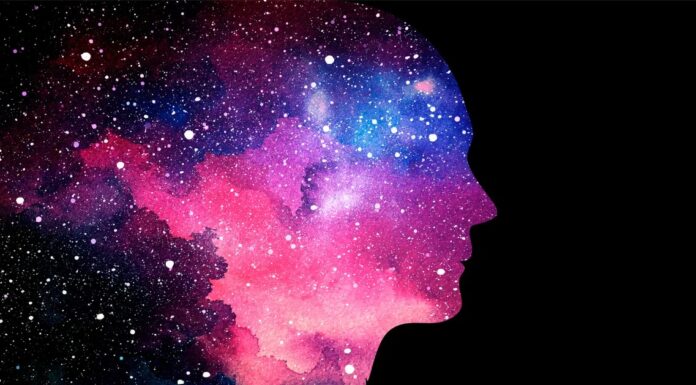 Сознание обитает в тесной чердачной каморке 🧠