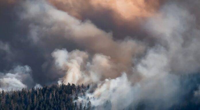 Detección temprana de incendios forestales: cómo la tecnología está cambiando el juego
