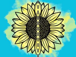 Qu’est-ce que la symétrie en géométrie et en conception