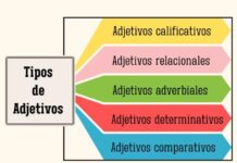 Como os adjetivos transformam os substantivos: um guia prático para alunos de línguas