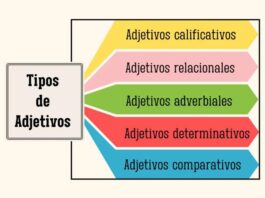 Como os adjetivos transformam os substantivos: um guia prático para alunos de línguas